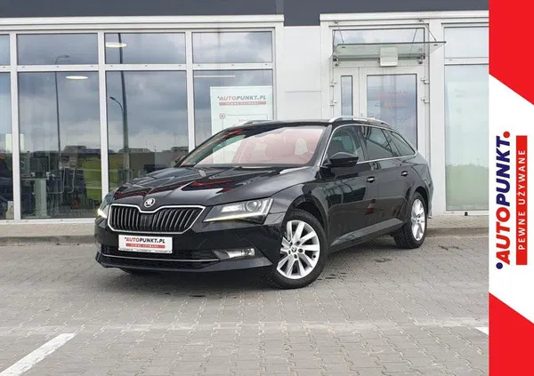 pomorskie Skoda Superb cena 99900 przebieg: 104679, rok produkcji 2019 z Krapkowice